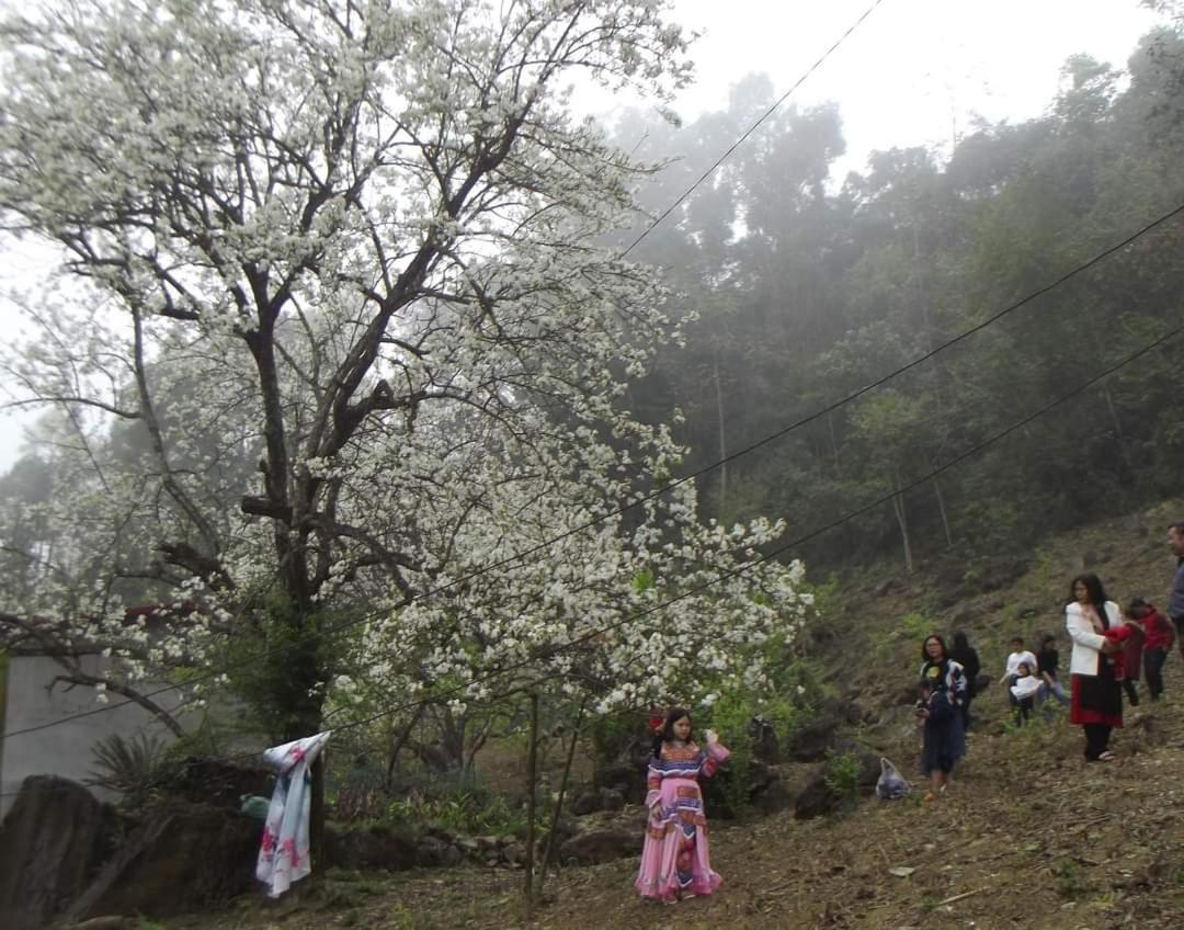 Appartamento Minh_Tham Bac Ha  Esterno foto