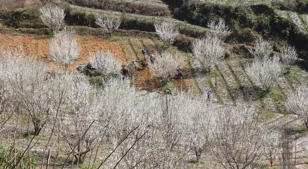 Appartamento Minh_Tham Bac Ha  Esterno foto
